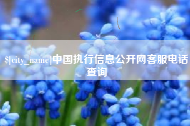 北票中国执行信息公开网客服电话查询