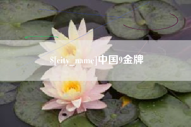 北票中国9金牌
