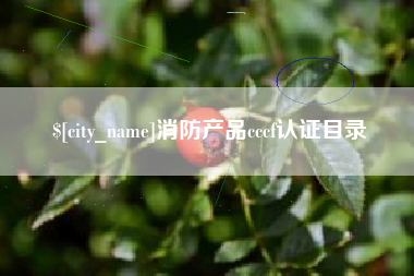 北票消防产品cccf认证目录