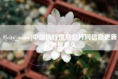 北票中国执行信息公开网信息更新时间是多久