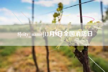 北票11月9日全国消防日