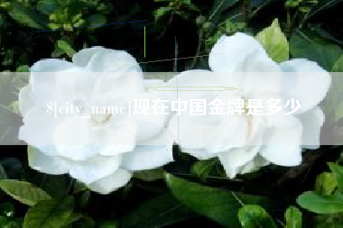北票现在中国金牌是多少