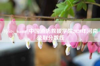 北票中国消防救援学院2020年河南录取分数线