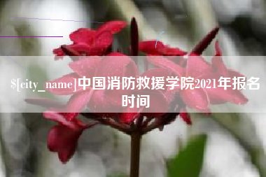 北票中国消防救援学院2021年报名时间