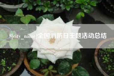北票全国消防日主题活动总结