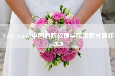 北票中国消防救援学院录取分数线2020