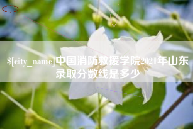 北票中国消防救援学院2021年山东录取分数线是多少