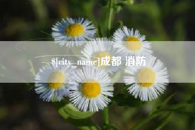北票成都 消防