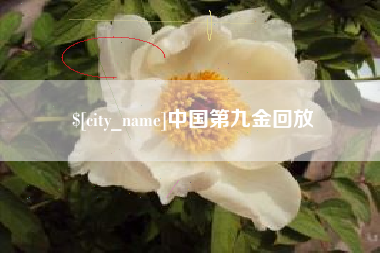北票中国第九金回放