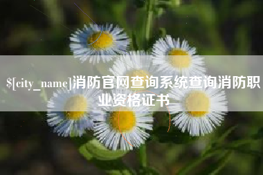 北票消防官网查询系统查询消防职业资格证书