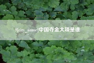 北票中国夺金大项是谁