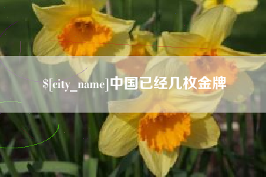 北票中国已经几枚金牌
