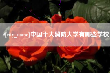 北票中国十大消防大学有哪些学校