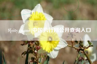 北票中国执行网公开查询入口