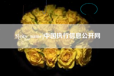 北票中国执行信息公开网