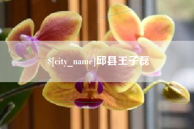 北票邱县王子磊