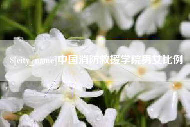 北票中国消防救援学院男女比例