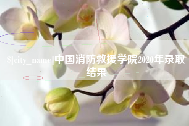 北票中国消防救援学院2020年录取结果