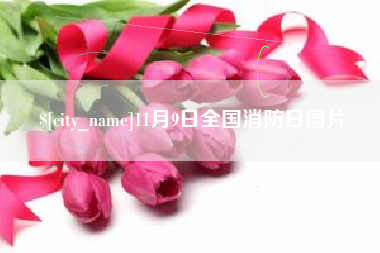 北票11月9日全国消防日图片