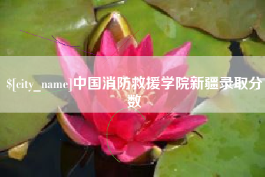 北票中国消防救援学院新疆录取分数
