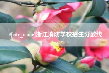 北票浙江消防学校招生分数线