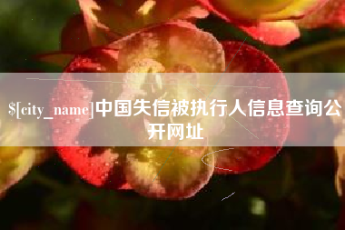北票中国失信被执行人信息查询公开网址