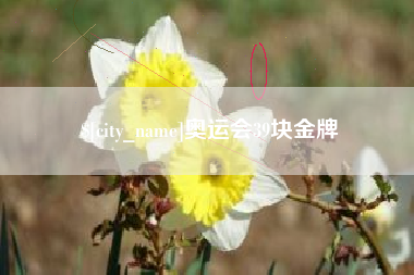 北票奥运会39块金牌
