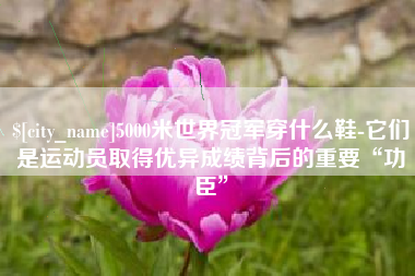 北票5000米世界冠军穿什么鞋-它们是运动员取得优异成绩背后的重要“功臣”