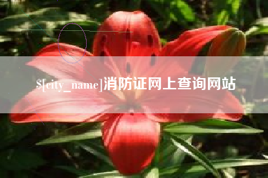 北票消防证网上查询网站