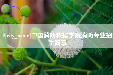 北票中国消防救援学院消防专业招生简章