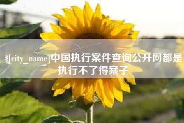 北票中国执行案件查询公开网都是执行不了得案子