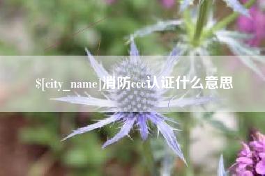 北票消防ccc认证什么意思