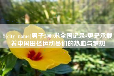 北票男子5000米全国记录-更是承载着中国田径运动员们的热血与梦想
