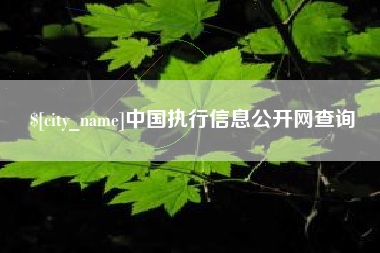 北票中国执行信息公开网查询