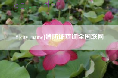 北票消防证查询全国联网