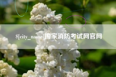 北票国家消防考试网官网