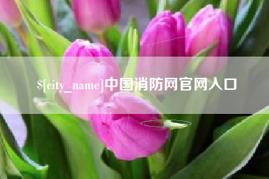 北票中国消防网官网入口