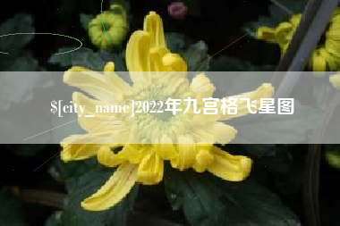 北票2022年九宫格飞星图