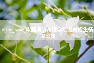 北票中国消防救援学院湖南招生情况公布