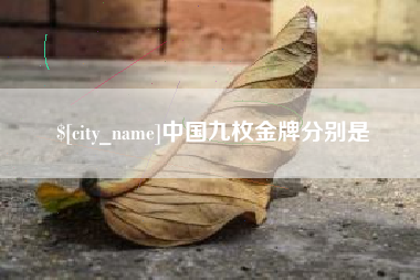 北票中国九枚金牌分别是