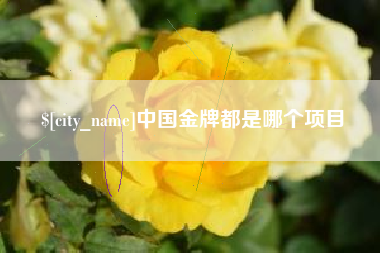 北票中国金牌都是哪个项目