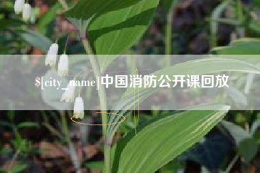 北票中国消防公开课回放