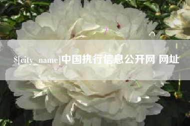 北票中国执行信息公开网 网址