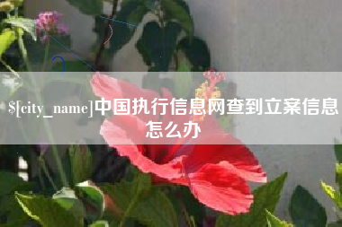 北票中国执行信息网查到立案信息怎么办