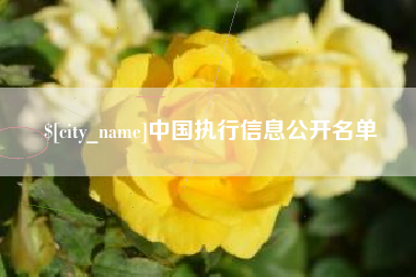 北票中国执行信息公开名单