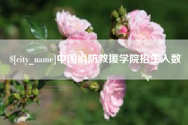 北票中国消防救援学院招生人数