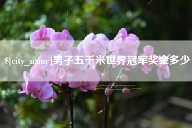 北票男子五千米世界冠军奖金多少