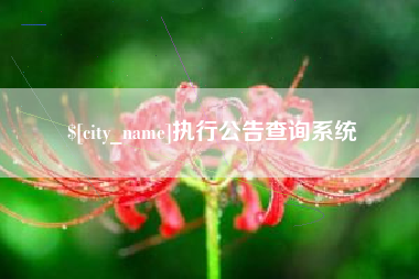 北票执行公告查询系统