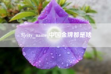 北票中国金牌都是啥