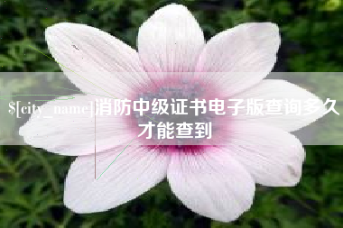 北票消防中级证书电子版查询多久才能查到
